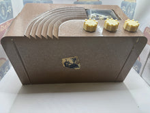 Northern Electric 5110M Baby Champ Radio with Bluetooth/Aux input.