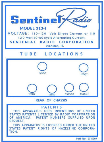 SENTINEL-313-I