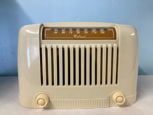 Roland Tube Radio With Bluetooth & FM Options