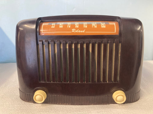 Roland Tube Radio With Bluetooth & FM Options