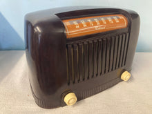 Roland Tube Radio With Bluetooth & FM Options