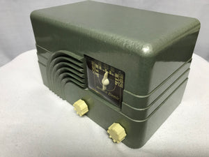 Northern Electric 5000 Baby Champ Rainbow Tube Radio With Bluetooth input.