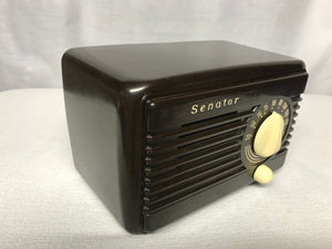Senator SD75 Tube Radio With Bluetooth input.