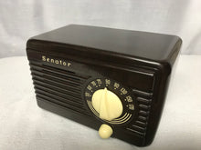 Senator SD75 Tube Radio With Bluetooth input.